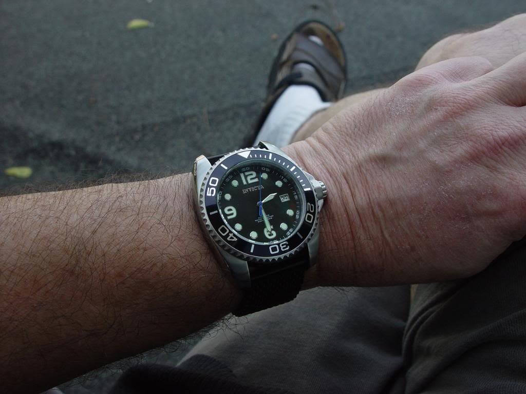 micro brand diver